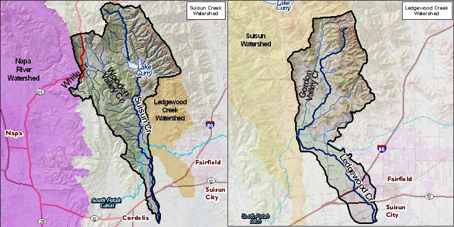 Suisun Creek 