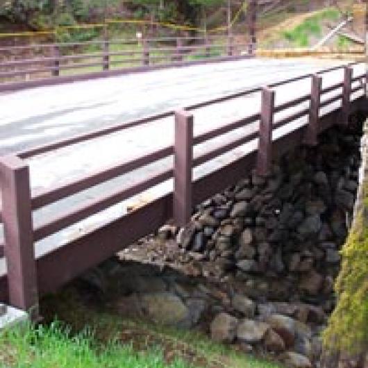 Bridge installed to improve stream conditions  and upgrade historic logging road.