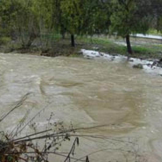 York Creek during a small flood	