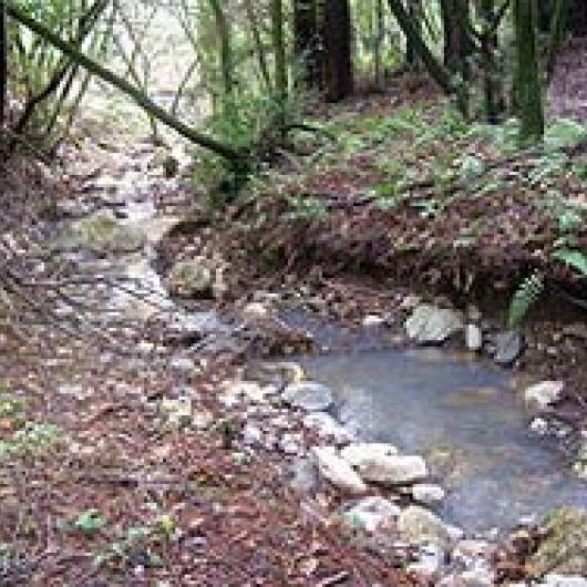 Upper Arroyo Seco Creek