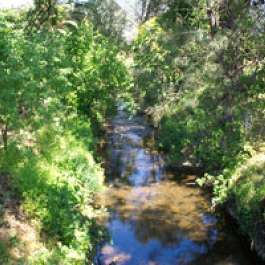 Creek on Asti Ranch