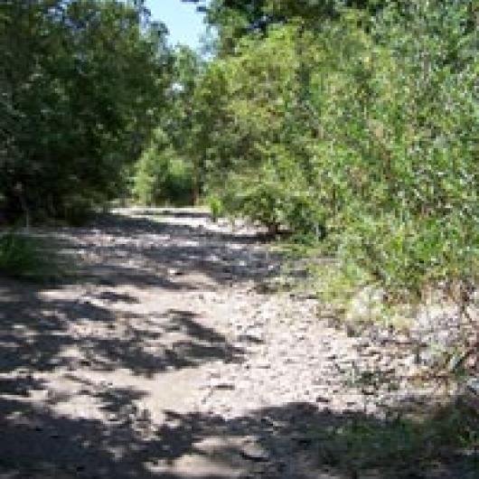 Dry Creek adjacent to Page Nord Vineyard