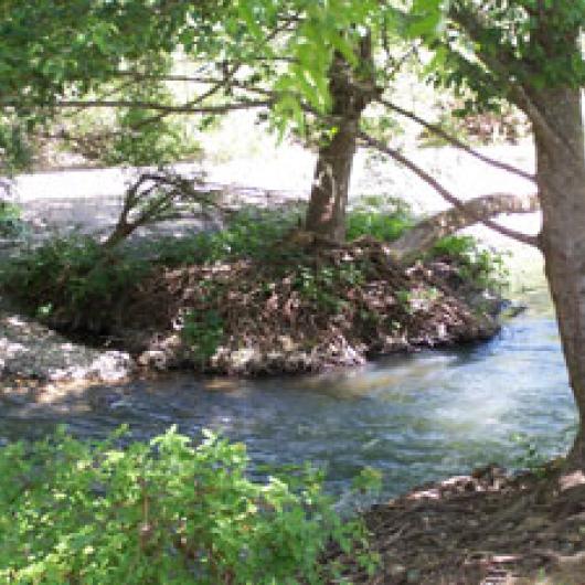 Confluence of Wine Creek and Dry Creek