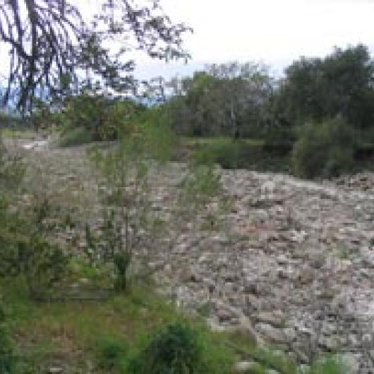 Rector Creek alluvial fan adjacent to  Paraduxx Winery and vineyard.