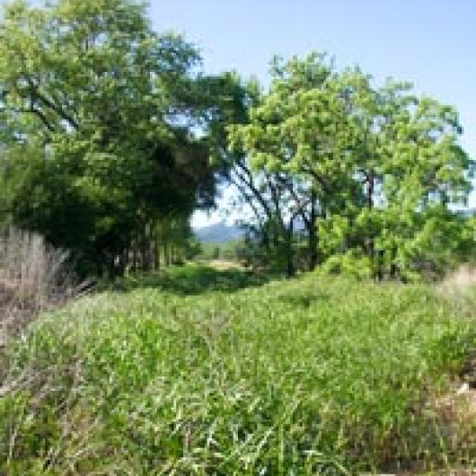 Slough channel on Galleron Ranch