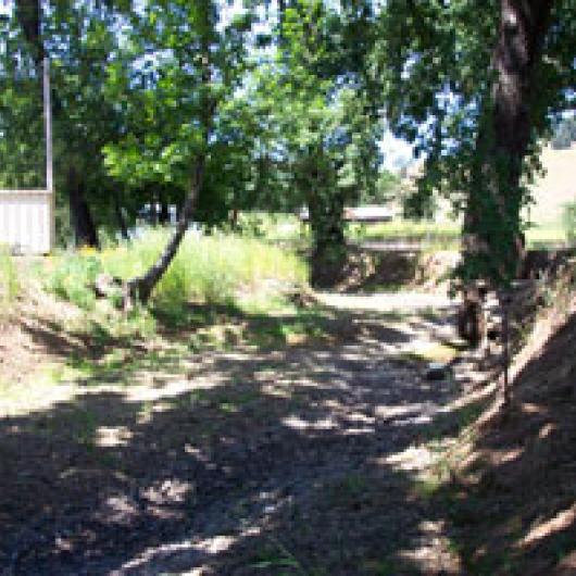 As part of his Fish Friendly Farming plan Jim Nelson planted native trees along parts of McNab Creek