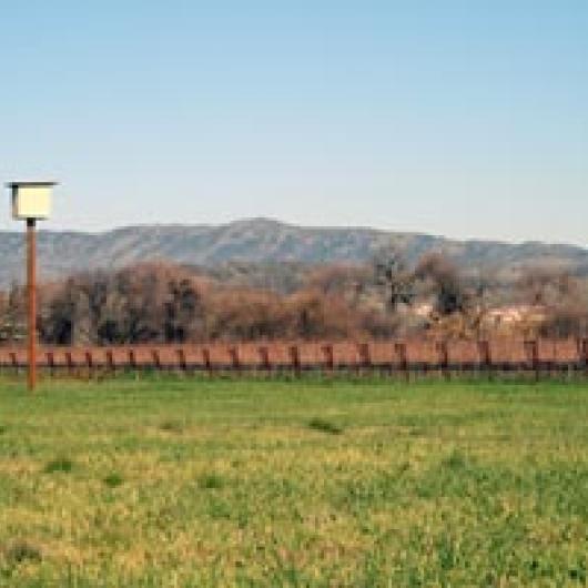 Owl box at Ledgewood Creek Vineyards