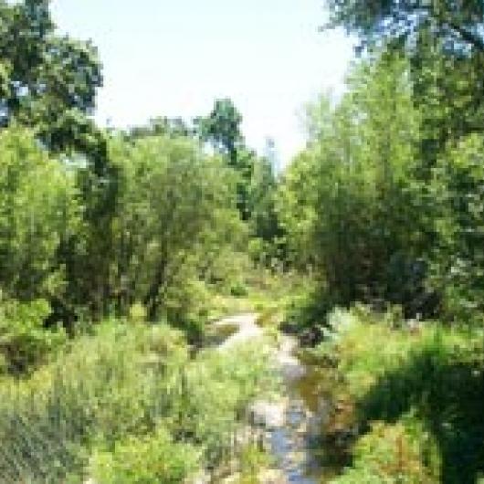 Conn Creek on the Gamble Ranch	