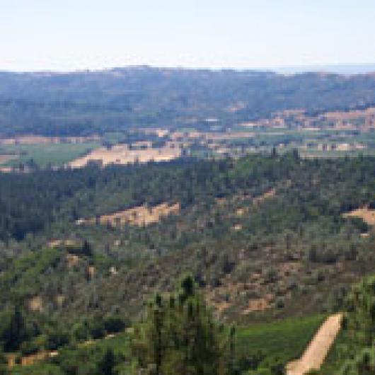 View of Knights Valley from the Peter Michael Winery vineyards
