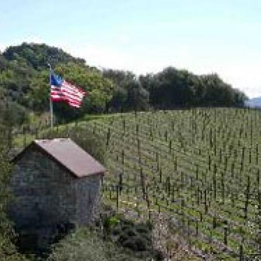 Quarry Vineyard