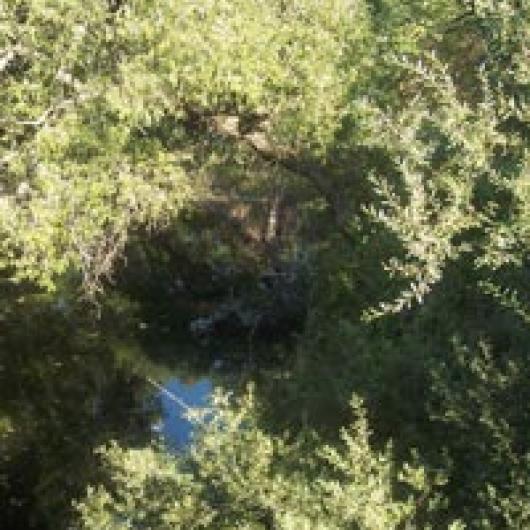 Both the Napa River and Selby Creek flow through the large Calistoga Ranch site.