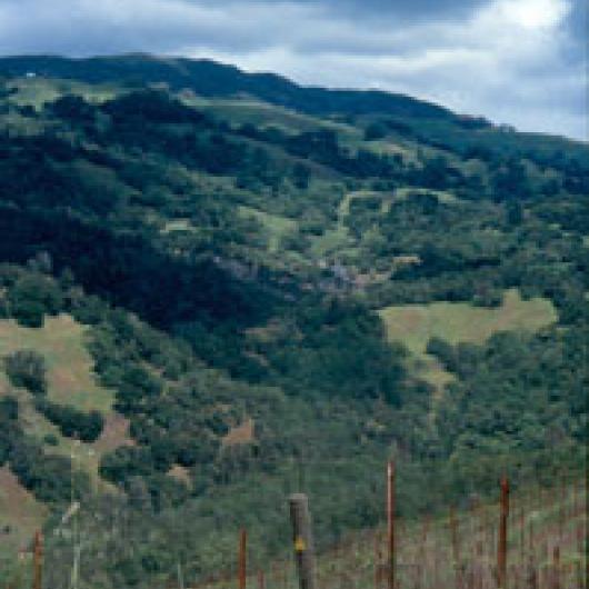 View of the Rockaway Creek watershed from Rockaway Ranch