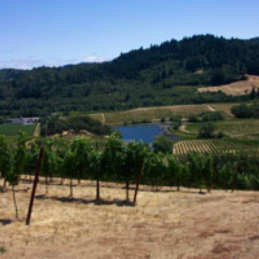 Vineyards and pond at Michel Schlumberger winery in Dry Creek Valley