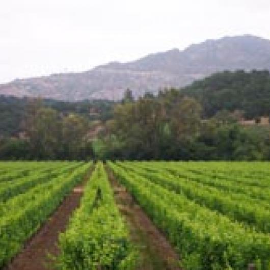 Silverado Vineyards – Home Ranch