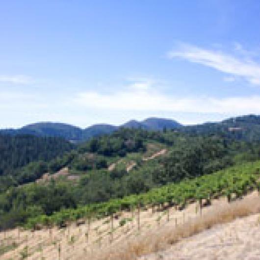 This large ranch has only 50 acres of vineyard with the rest of the land serving as wildlife habitat	