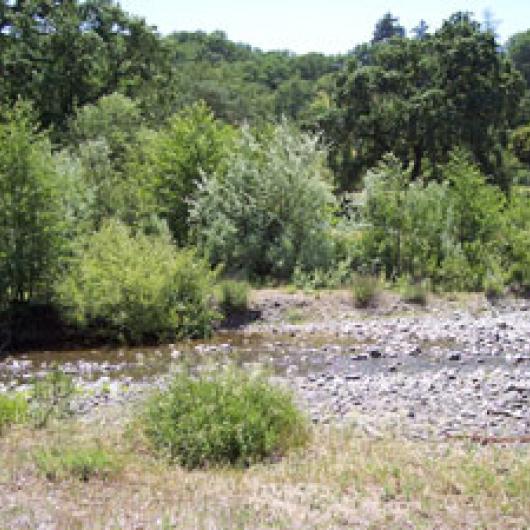 Waddington Ranch Vineyards