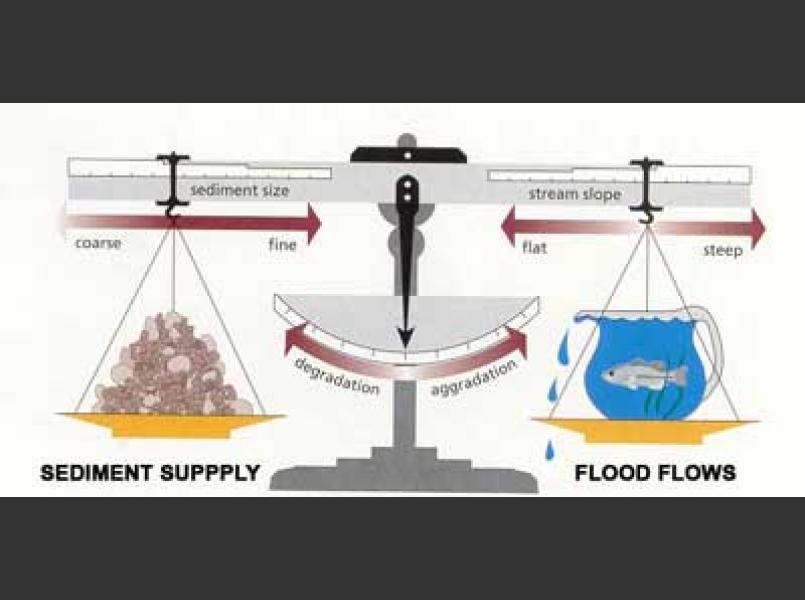 Dynamic equilibrium