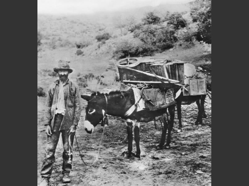 Early Miner of the California Gold Rush