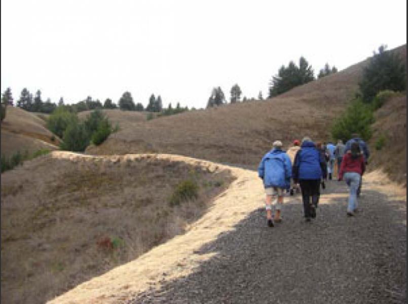 The Fish Friendly Farming program worked with Navarro Vineyards and Pacific Watershed Associates to outslope this road and reduce fine sediment generation and delivery.