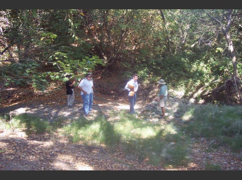 Carneros Creek