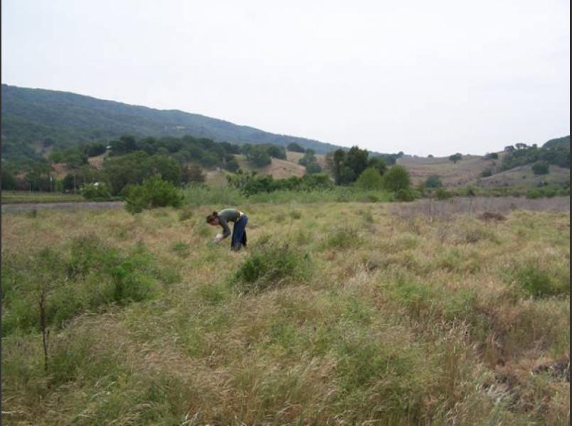 Fish Friendly Farming program staff member  conducts native plant survey on King Farms