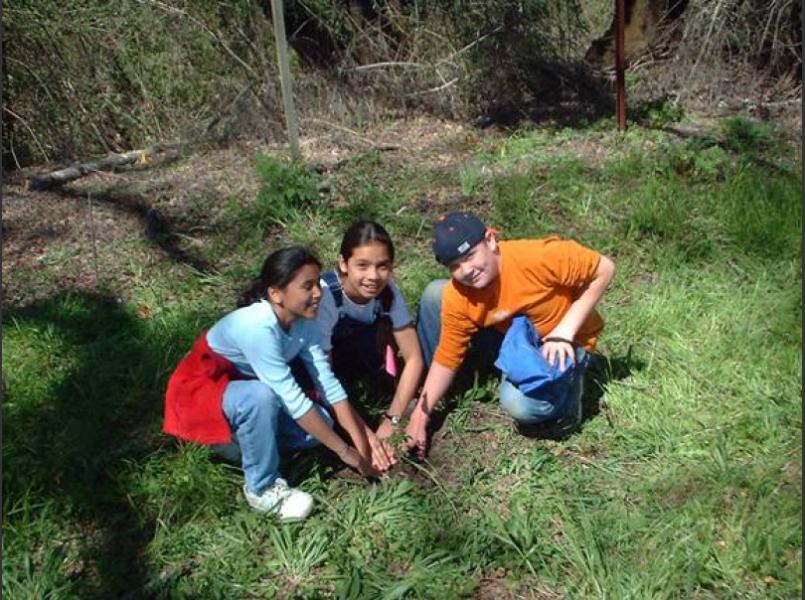 Students working with Circuit Rider Productions assist  with planting native seedlings on Simi Vineyard (photo courtesy of Simi Vineyards)