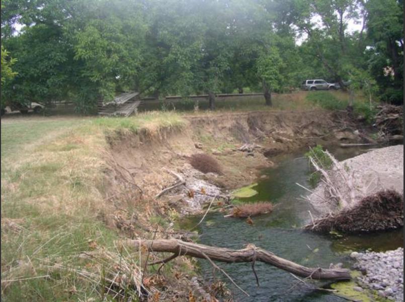 Bank erosion at this site on Suisun Creek will be repaired using native plants and some toe rock.