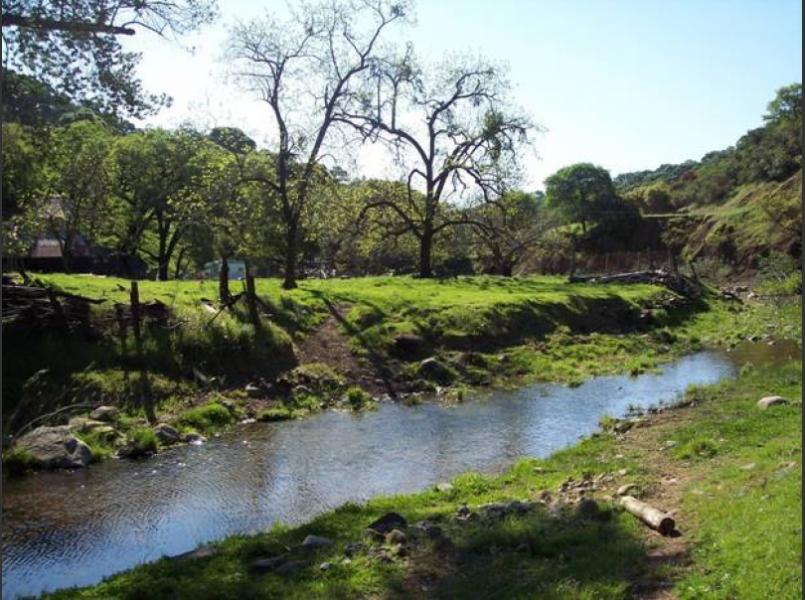 Wooden Valley Creek will be planted with native riparian trees in the winter of 2008/2010