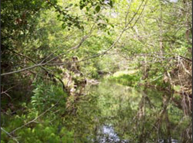 Suisun Creek