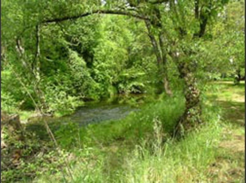 Suisun Creek