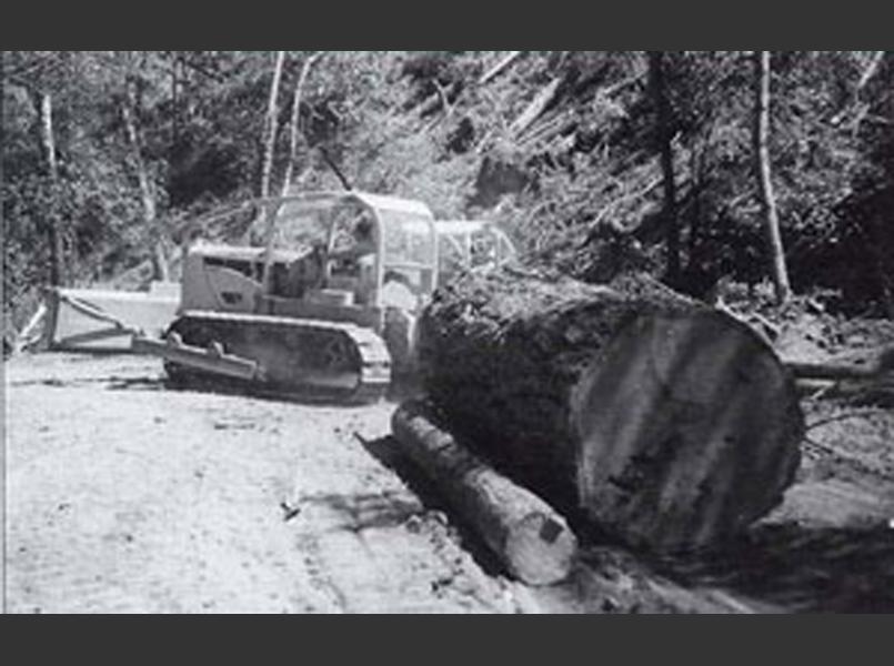 Tractor logging of the 1940s and 1950s