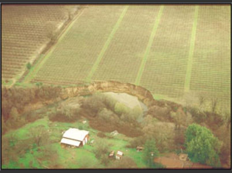 The Coyote dam retains all of the river’s gravel, causing the river channel to entrench into its floodplain with frequent bank failures. 