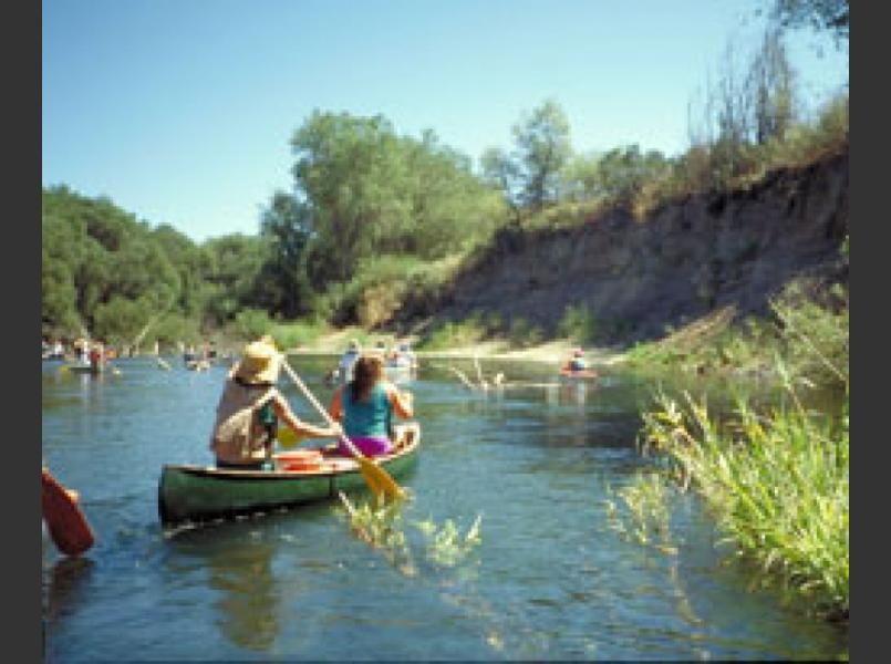 Canoeists in the Russian River Valley. Note the tall vertical eroding banks.