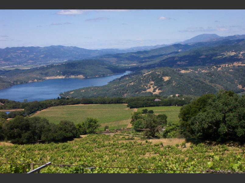 View of Lake Hennessey, the largest  reservoir in the Napa River drainage, and east side of the watershed