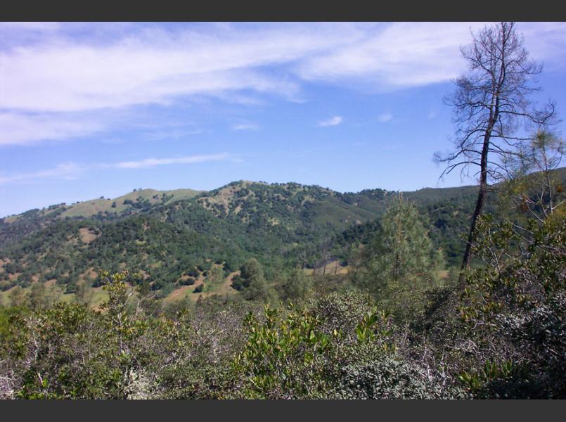 Chiles Valley hillside. Chiles Valley is a small valley which parallels the Napa Valley