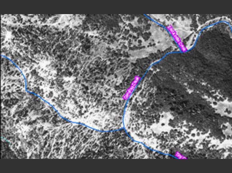 Conshea Creek in 1961 after clear-cut logging