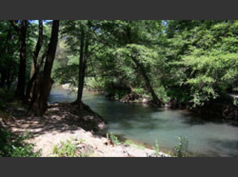 Dry Creek with summer water release from Warm Springs dam