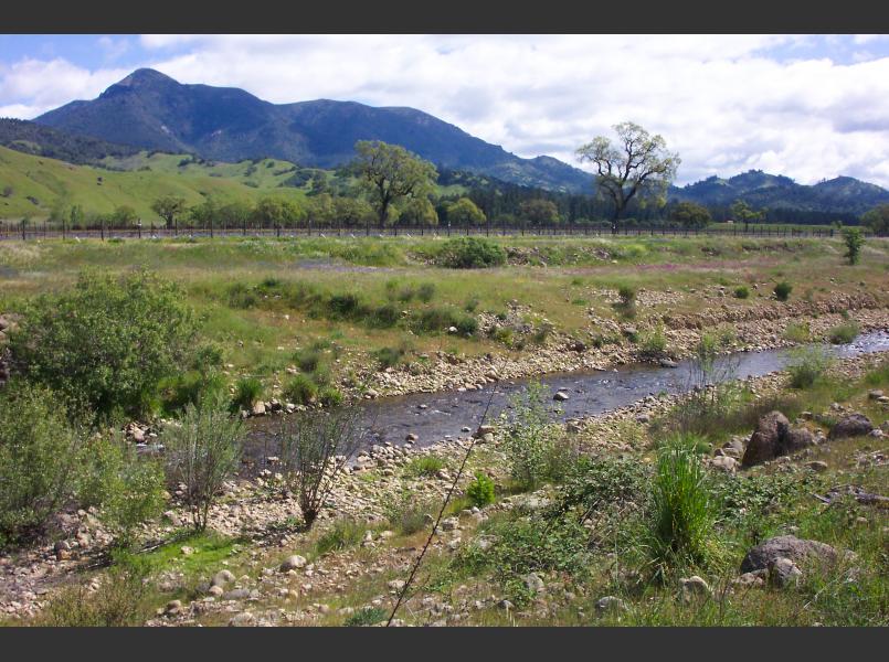 Mount St. Helena towers over Knights Valley