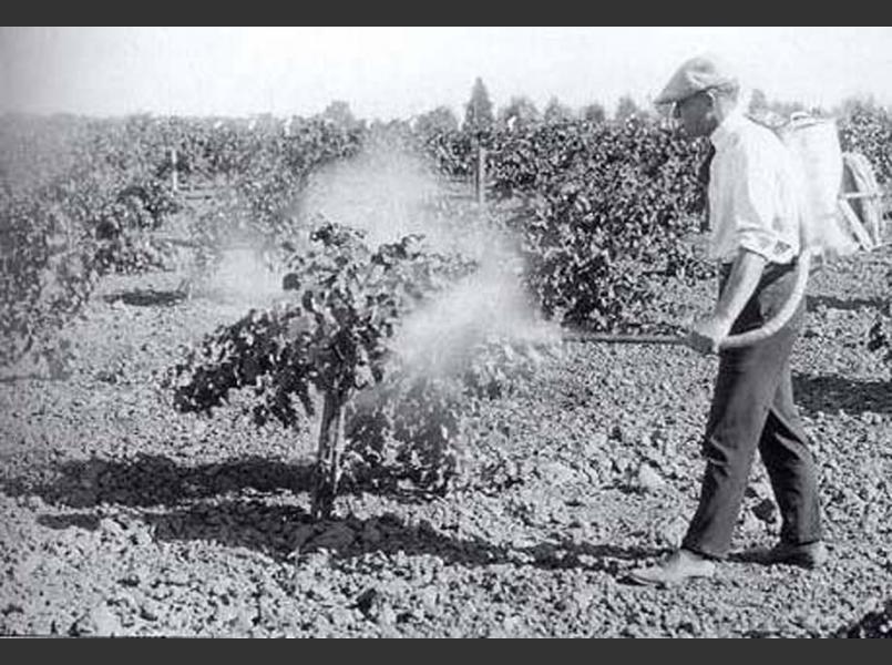 Images of the early years of the Napa wine industry