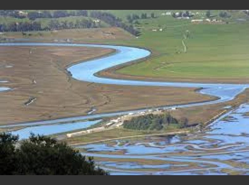 Petaluma River Tidal Marsh