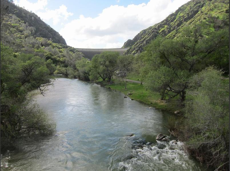 Putah Creek downstream of Monticello Dam