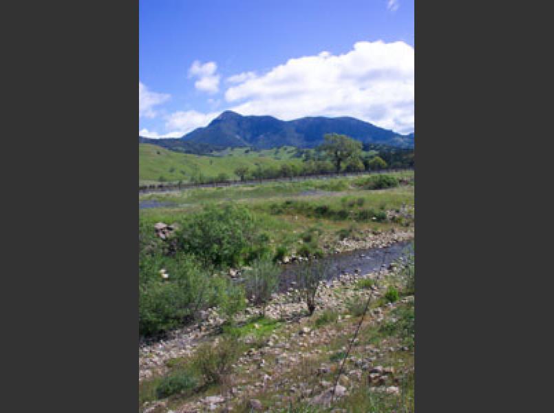 Kellogg/Redwood Creek flows from the steep heights of Mount St. Helena, forming a large alluvial fan over the floor of Knights Valley