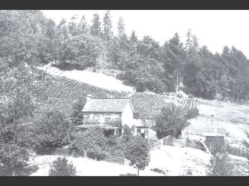 Homestead north of Cazadero