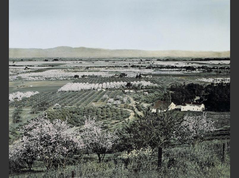 Santa Clara Valley Agriculture Prior to Urban Growth