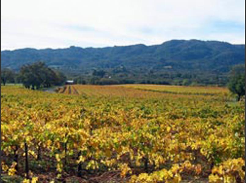 Sonoma Valley 2009	