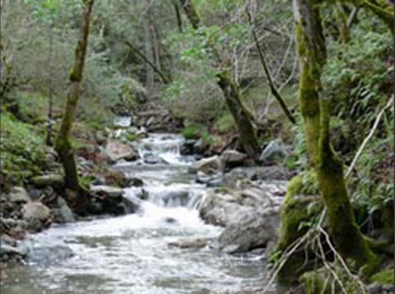 Sonoma Creek is the primary waterway in Sonoma Valley