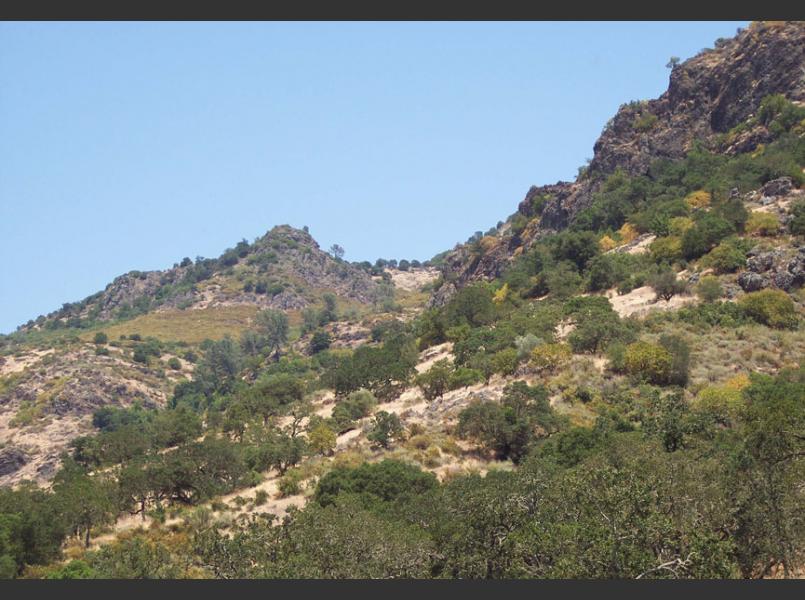 Dry rocky eastern hills of Napa River watershed