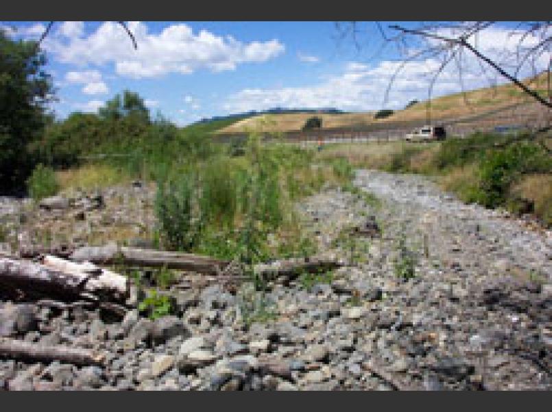 The alluvial fan of Copeland Creek borders vineyards