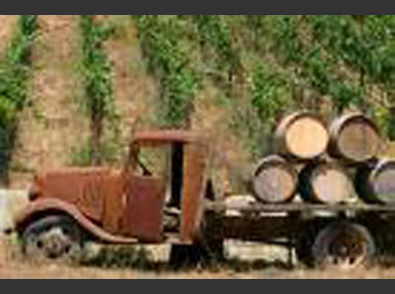 Parducci Winery was one of the first wineries in Mendocino County and is based in Redwood Valley