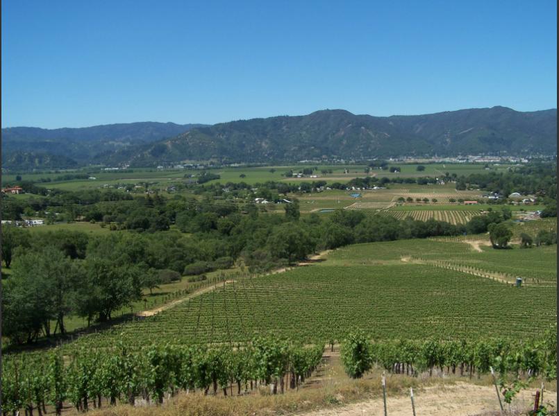 View of Ukiah Valley